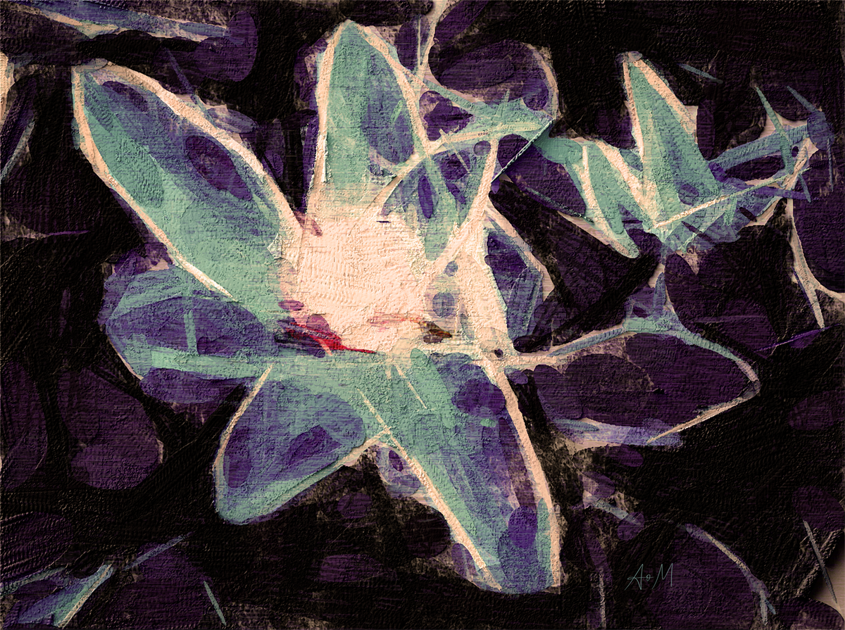 An abstract floral painting featuring stylized flowers with teal-green and purple petals outlined in white, set against a dark black and deep purple textured background.