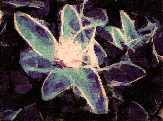 An abstract floral painting featuring stylized flowers with teal-green and purple petals outlined in white, set against a dark black and deep purple textured background.