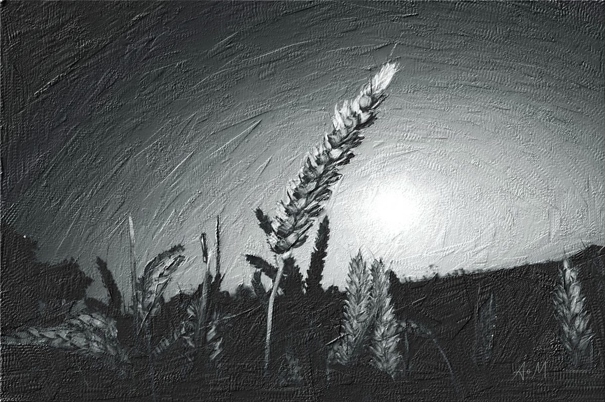 A black and white textured painting of a wheat stalk standing against a bright sunlit sky, with dark silhouetted plants along the bottom.
