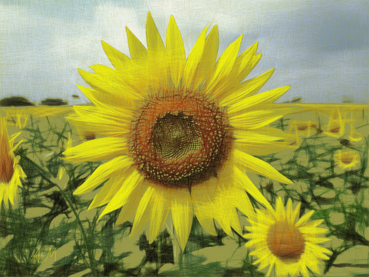 A stylized painting of a large yellow sunflower in a field, with smaller sunflowers and green stems in the background under a pale sky.